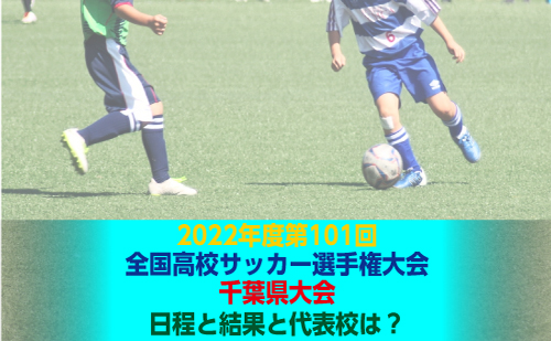 22年度第101回全国高校サッカー選手権千葉県予選